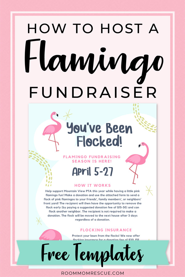 flamingo flocking fundraiser flyer