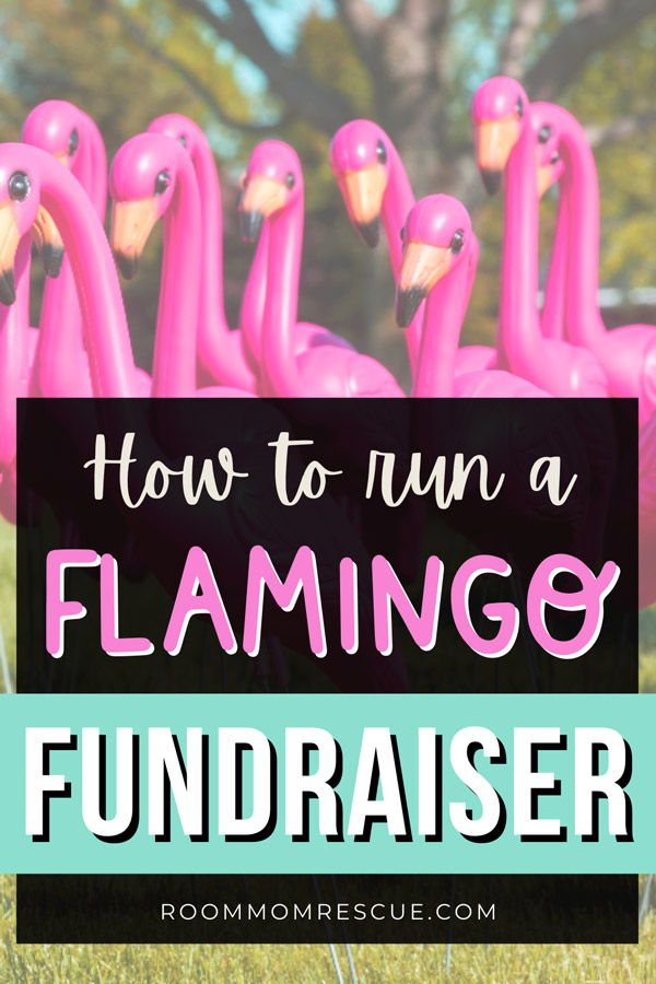 Pink Flamingo Fundraiser