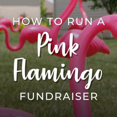 Pink Flamingo Fundraiser template